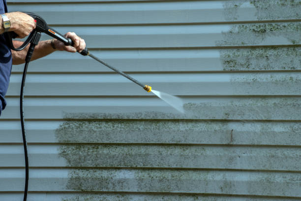 Best Pool Deck Cleaning  in Micco, FL